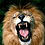 Lion956